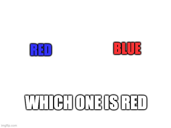 hold up | BLUE; RED; WHICH ONE IS RED | image tagged in hold up | made w/ Imgflip meme maker