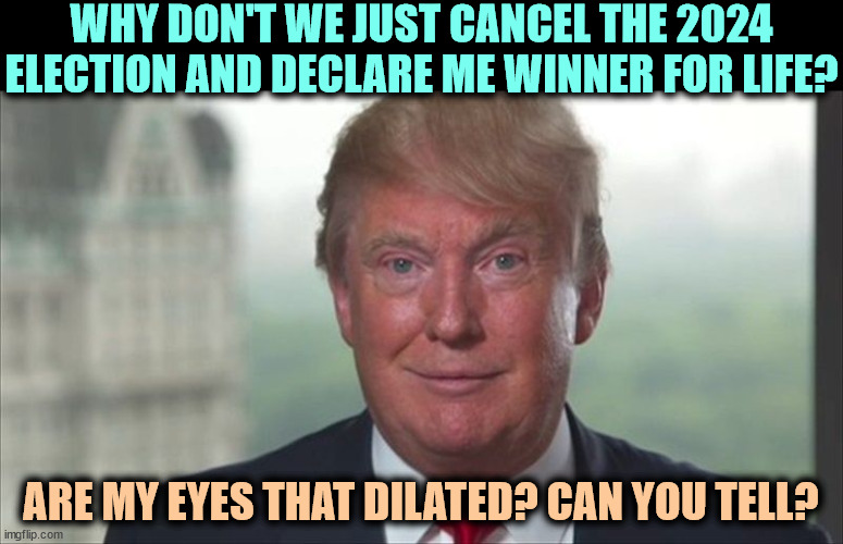 Chemical fantasy | WHY DON'T WE JUST CANCEL THE 2024 ELECTION AND DECLARE ME WINNER FOR LIFE? ARE MY EYES THAT DILATED? CAN YOU TELL? | image tagged in trump dilated,election 2024,cheat,steal,delusional,insane | made w/ Imgflip meme maker