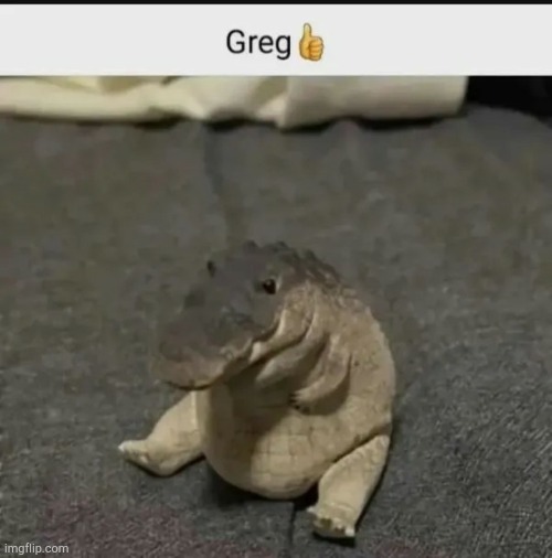 Greg! | image tagged in memes | made w/ Imgflip meme maker