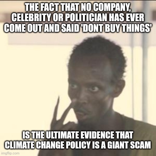 Not buying things = zero carbon emissions | THE FACT THAT NO COMPANY, CELEBRITY OR POLITICIAN HAS EVER COME OUT AND SAID 'DONT BUY THINGS'; IS THE ULTIMATE EVIDENCE THAT CLIMATE CHANGE POLICY IS A GIANT SCAM | image tagged in memes,look at me | made w/ Imgflip meme maker