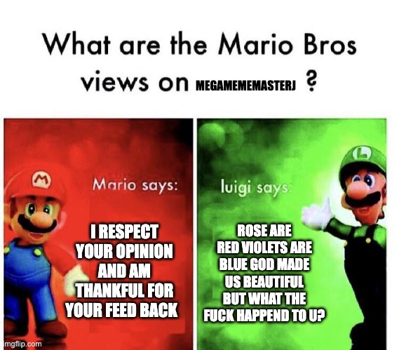 Mario Bros Views | I RESPECT YOUR OPINION AND AM THANKFUL FOR YOUR FEED BACK ROSE ARE RED VIOLETS ARE BLUE GOD MADE US BEAUTIFUL BUT WHAT THE FUCK HAPPEND TO U | image tagged in mario bros views | made w/ Imgflip meme maker