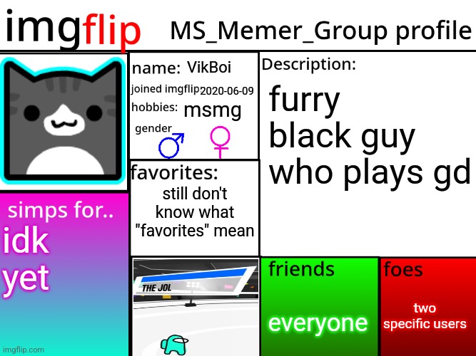 MSMG Profile | VikBoi; 2020-06-09; furry black guy who plays gd; msmg; still don't know what "favorites" mean; idk yet; two specific users; everyone | image tagged in msmg profile | made w/ Imgflip meme maker
