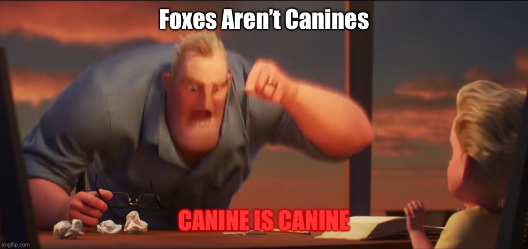 CANINE IS CANINE | Foxes Aren’t Canines; CANINE IS CANINE | image tagged in math is math,memes | made w/ Imgflip meme maker