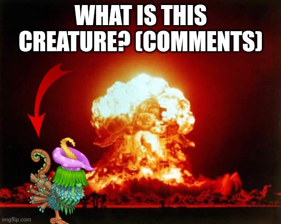 Little skrunkly chicken (also role play with the fella) | WHAT IS THIS CREATURE? (COMMENTS) | image tagged in funni | made w/ Imgflip meme maker