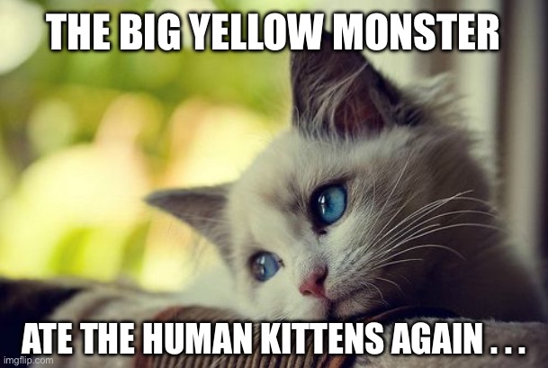 The kids went to school | THE BIG YELLOW MONSTER; ATE THE HUMAN KITTENS AGAIN . . . | image tagged in first world problems cat,cat,cats,school,school bus,bus | made w/ Imgflip meme maker