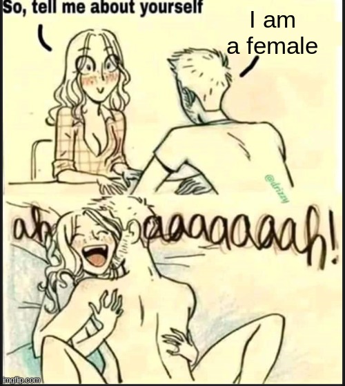 tell me about yourself better | I am a female | image tagged in tell me about yourself better | made w/ Imgflip meme maker