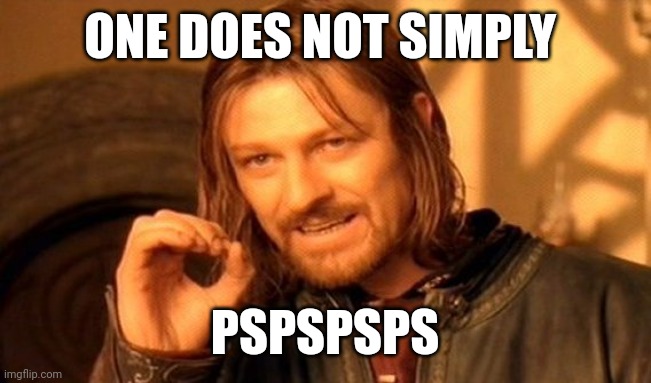 Pspspsps | ONE DOES NOT SIMPLY; PSPSPSPS | image tagged in memes,one does not simply | made w/ Imgflip meme maker