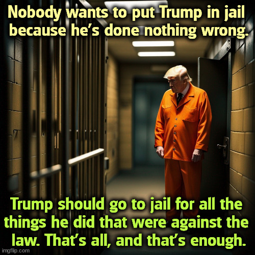 Nobody wants to put Trump in jail 
because he's done nothing wrong. Trump should go to jail for all the 
things he did that were against the 
law. That's all, and that's enough. | image tagged in trump,guilty,criminal,crime,it's the law,law | made w/ Imgflip meme maker