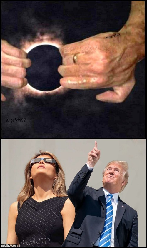 April Solar Eclipse | image tagged in solar eclipse,eclipse,trump,goatse,florida,moon | made w/ Imgflip meme maker