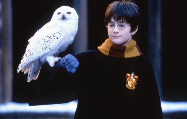 High Quality Harry and Hedwig Blank Meme Template