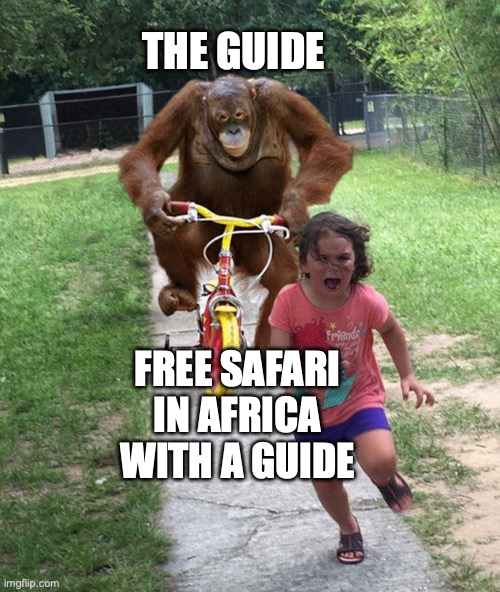 Africa safari | THE GUIDE; FREE SAFARI IN AFRICA WITH A GUIDE | image tagged in orangutan chasing girl on a tricycle | made w/ Imgflip meme maker