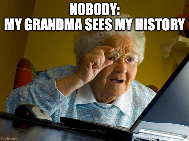 Search history | NOBODY:
MY GRANDMA SEES MY HISTORY | image tagged in memes,grandma finds the internet | made w/ Imgflip meme maker
