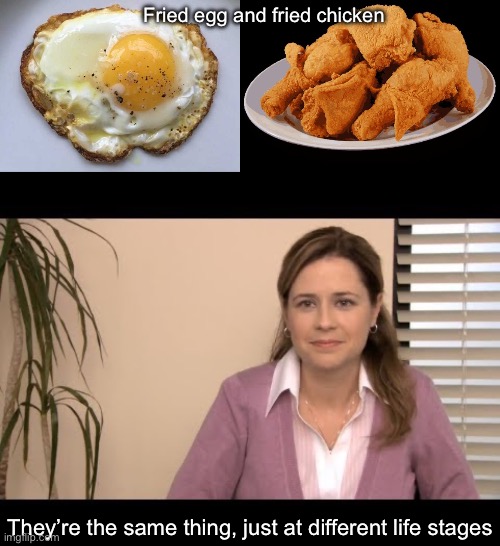 Fried foods | Fried egg and fried chicken; They’re the same thing, just at different life stages | image tagged in fried egg,fried chicken,they're the same picture,life,stage | made w/ Imgflip meme maker