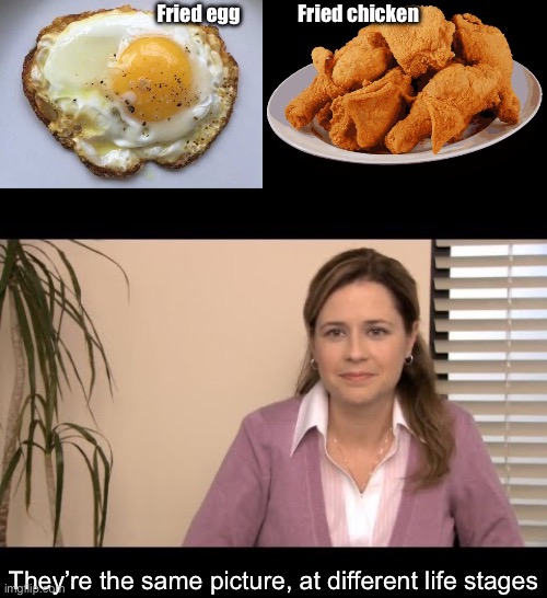 Fried foods | Fried egg               Fried chicken; They’re the same picture, at different life stages | image tagged in fried egg,fried chicken,they're the same picture | made w/ Imgflip meme maker