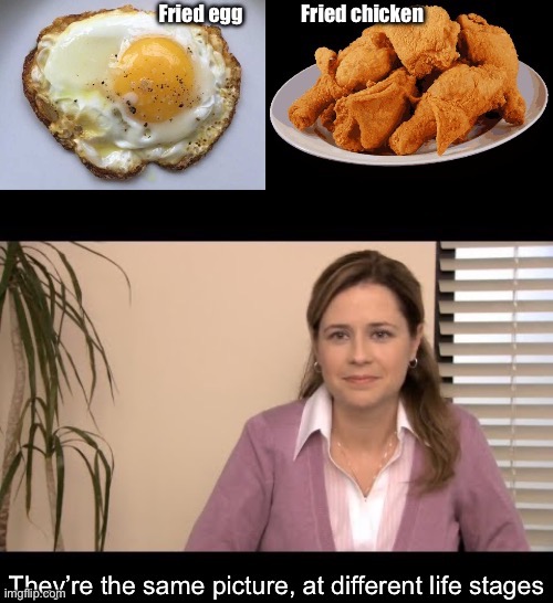 Fried foods | image tagged in eggs,fried chicken,food,they're the same picture | made w/ Imgflip meme maker