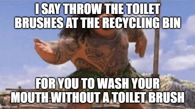 What Can I Say Except X? | I SAY THROW THE TOILET BRUSHES AT THE RECYCLING BIN; FOR YOU TO WASH YOUR MOUTH WITHOUT A TOILET BRUSH | image tagged in what can i say except x | made w/ Imgflip meme maker