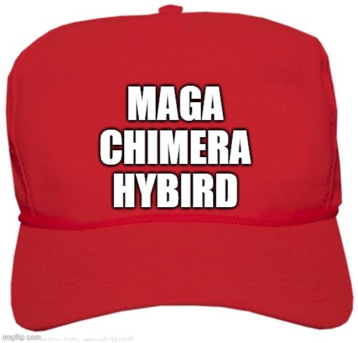 blank red MAGA MYTHOLOGY hat | MAGA
CHIMERA
HYBIRD | image tagged in blank red maga hat,donald trump approves,mythology,clown car republicans,republicans,donald trump the clown | made w/ Imgflip meme maker