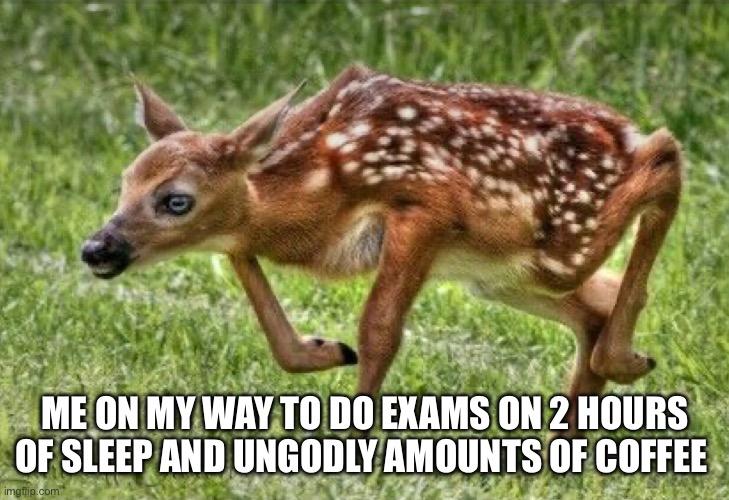 Maybe some crack too | ME ON MY WAY TO DO EXAMS ON 2 HOURS OF SLEEP AND UNGODLY AMOUNTS OF COFFEE | image tagged in school | made w/ Imgflip meme maker
