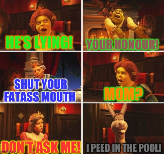 How to break up arguments | HE’S LYING! YOUR HONOUR! MOM? SHUT YOUR FATASS MOUTH; I PEED IN THE POOL! DON’T ASK ME! | image tagged in shrek fiona harold donkey | made w/ Imgflip meme maker