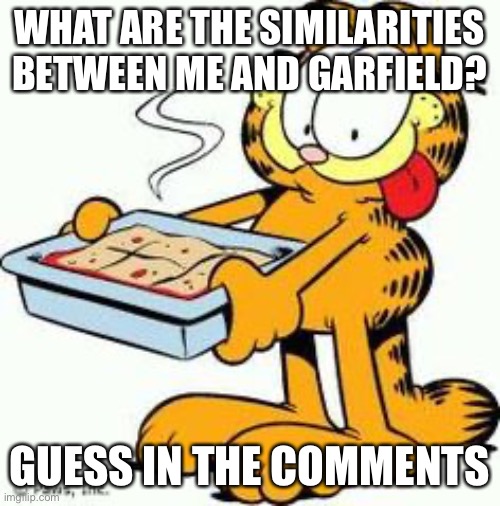 Hint: I have more similarities then differences | WHAT ARE THE SIMILARITIES BETWEEN ME AND GARFIELD? GUESS IN THE COMMENTS | image tagged in garfield lasagna | made w/ Imgflip meme maker