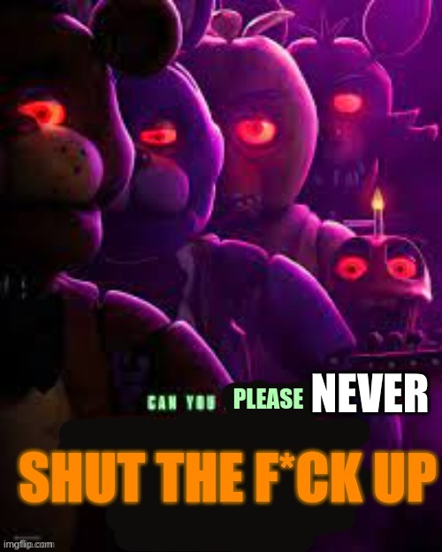 Can you please shut the f*ck up | NEVER | image tagged in can you please shut the f ck up | made w/ Imgflip meme maker