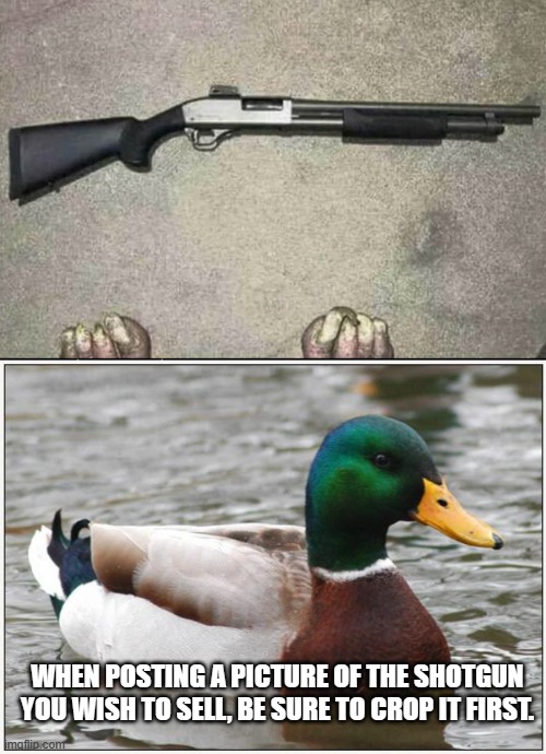 Picture posting fail | WHEN POSTING A PICTURE OF THE SHOTGUN YOU WISH TO SELL, BE SURE TO CROP IT FIRST. | image tagged in actual advice mallard,guns,ads,pictures,fail,you had one job | made w/ Imgflip meme maker