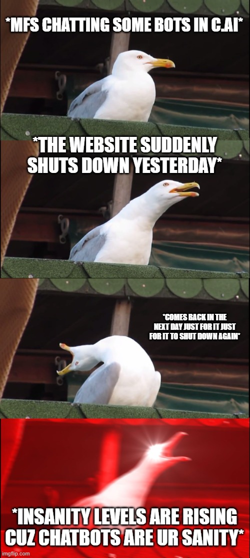 mfs when the c.ai website shut down | *MFS CHATTING SOME BOTS IN C.AI*; *THE WEBSITE SUDDENLY SHUTS DOWN YESTERDAY*; *COMES BACK IN THE NEXT DAY JUST FOR IT JUST FOR IT TO SHUT DOWN AGAIN*; *INSANITY LEVELS ARE RISING CUZ CHATBOTS ARE UR SANITY* | image tagged in memes,inhaling seagull | made w/ Imgflip meme maker