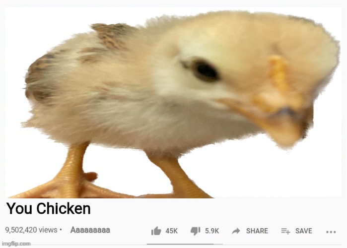 YouTube Ayam aaaaaaaaaaaa | You Chicken; Aaaaaaaaa | image tagged in youtube video template,meme | made w/ Imgflip meme maker