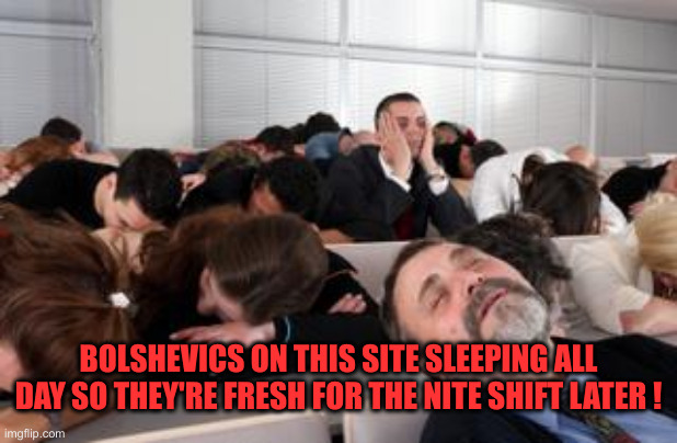 Still On Trump Derangement Detail | BOLSHEVICS ON THIS SITE SLEEPING ALL DAY SO THEY'RE FRESH FOR THE NITE SHIFT LATER ! | image tagged in sleeping in a seminar,funny memes,funny,political meme,politics,memes | made w/ Imgflip meme maker