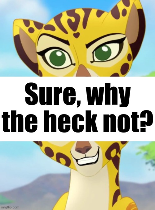 Sure, why the heck not? | image tagged in fuli | made w/ Imgflip meme maker