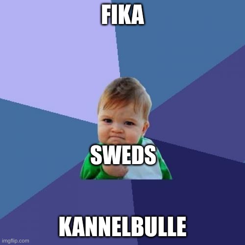 Success Kid | FIKA; SWEDS; KANNELBULLE | image tagged in memes,success kid | made w/ Imgflip meme maker