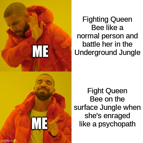 I don't know why, but I refuse fighting her when she's not enraged. | Fighting Queen Bee like a normal person and battle her in the Underground Jungle; ME; Fight Queen Bee on the surface Jungle when she's enraged like a psychopath; ME | image tagged in memes,drake hotline bling,terraria,video games | made w/ Imgflip meme maker