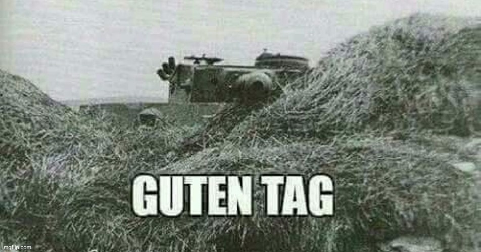 Good morning | image tagged in german guten tag tiger | made w/ Imgflip meme maker