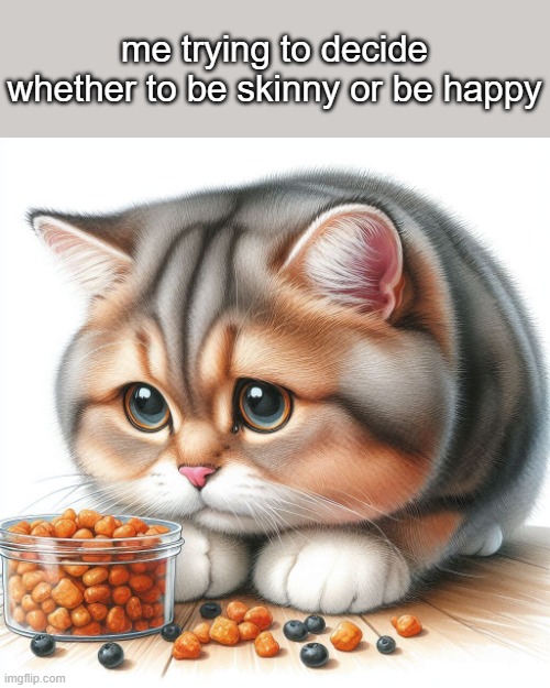 me trying to decide whether to be skinny or be happy | image tagged in cat,dieting | made w/ Imgflip meme maker