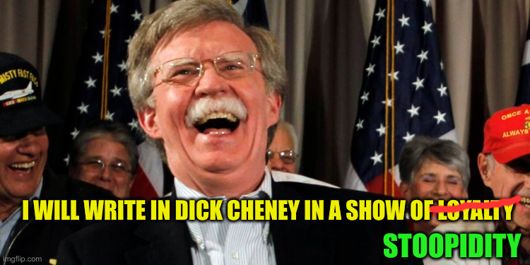 Super Swamper | I WILL WRITE IN DICK CHENEY IN A SHOW OF LOYALTY; STOOPIDITY | image tagged in john bolton laughing,funny memes,funny,politics,political meme | made w/ Imgflip meme maker