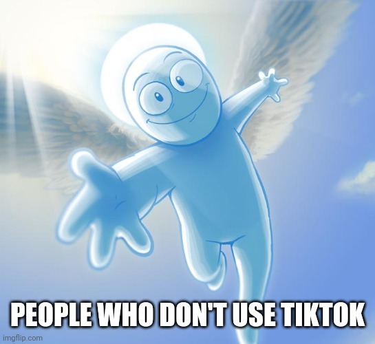Ascend | PEOPLE WHO DON'T USE TIKTOK | image tagged in angel | made w/ Imgflip meme maker