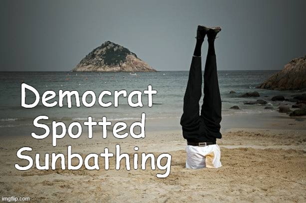 A Picture is Worth a Thousand Words | Democrat 
Spotted 
Sunbathing | image tagged in political humor,democrat,sunbathing,head in sand,lol,actual photo | made w/ Imgflip meme maker