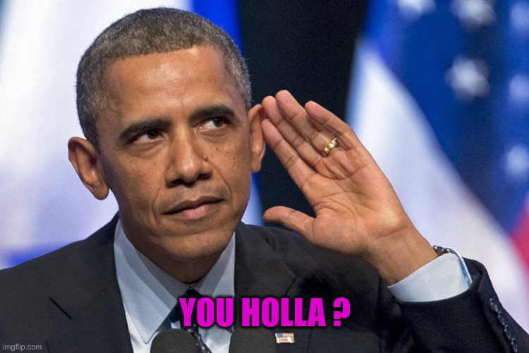 obama pussy | YOU HOLLA ? | image tagged in obama pussy | made w/ Imgflip meme maker