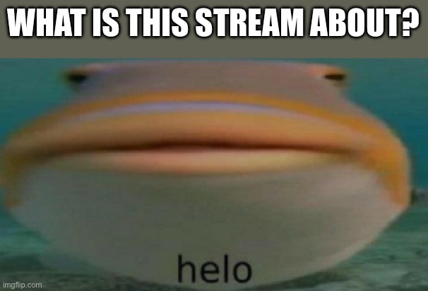 helo | WHAT IS THIS STREAM ABOUT? | image tagged in helo | made w/ Imgflip meme maker
