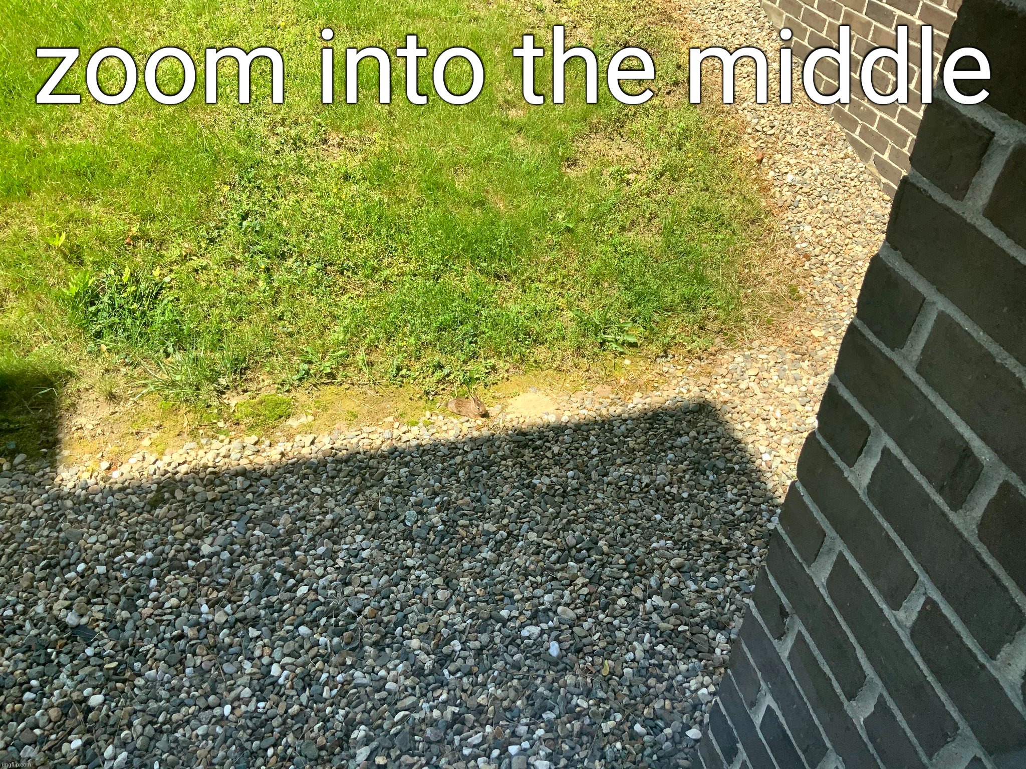 zoom into the middle | made w/ Imgflip meme maker