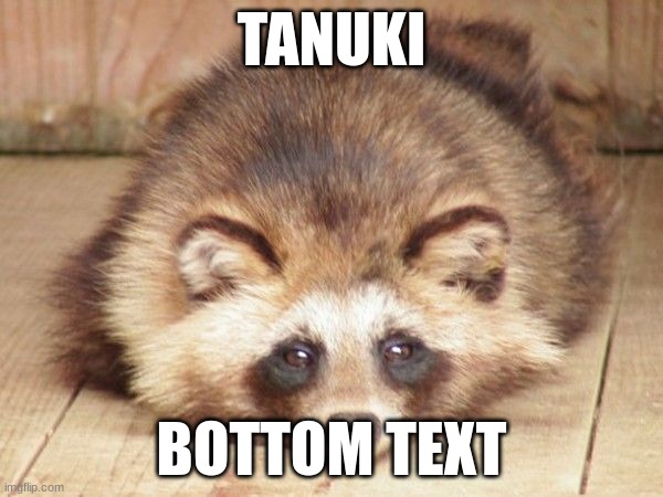 TANUKI; BOTTOM TEXT | made w/ Imgflip meme maker