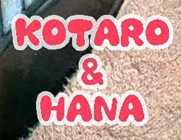 Kotaro and Hana Name Tags Blank Meme Template