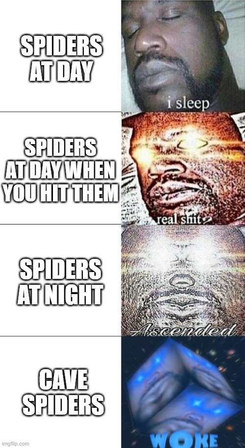 Did i go too far? | SPIDERS AT DAY; SPIDERS AT DAY WHEN YOU HIT THEM; SPIDERS AT NIGHT; CAVE SPIDERS | image tagged in sleeping shaq woke edition | made w/ Imgflip meme maker