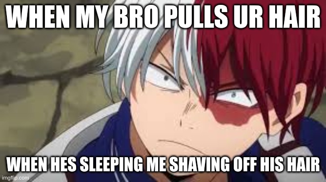 he pulled my hair | WHEN MY BRO PULLS UR HAIR; WHEN HES SLEEPING ME SHAVING OFF HIS HAIR | image tagged in angry todoroki | made w/ Imgflip meme maker