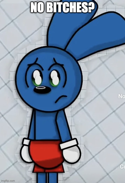 Sad Riggy | NO BITCHES? | image tagged in sad riggy | made w/ Imgflip meme maker