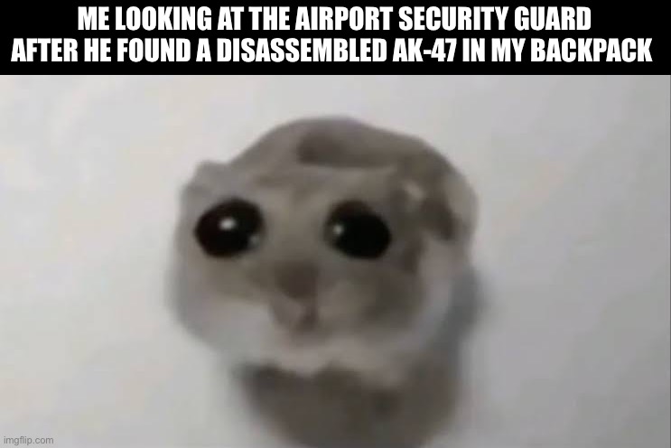 Sad Hamster | ME LOOKING AT THE AIRPORT SECURITY GUARD AFTER HE FOUND A DISASSEMBLED AK-47 IN MY BACKPACK | image tagged in sad hamster | made w/ Imgflip meme maker