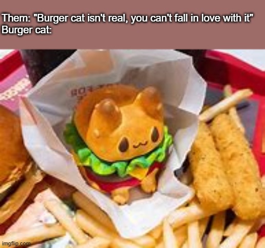 Them: "Burger cat isn't real, you can't fall in love with it"
Burger cat: | image tagged in burger,cat | made w/ Imgflip meme maker