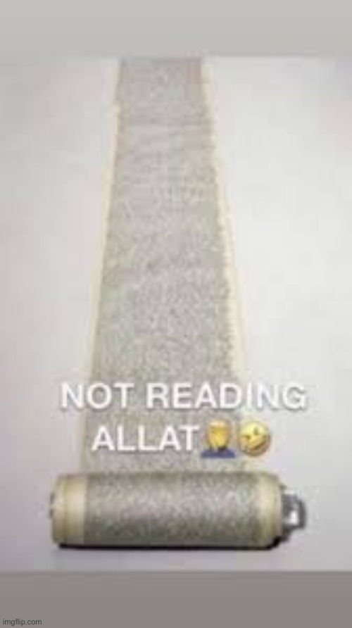 I aint reading allat | image tagged in i aint reading allat | made w/ Imgflip meme maker