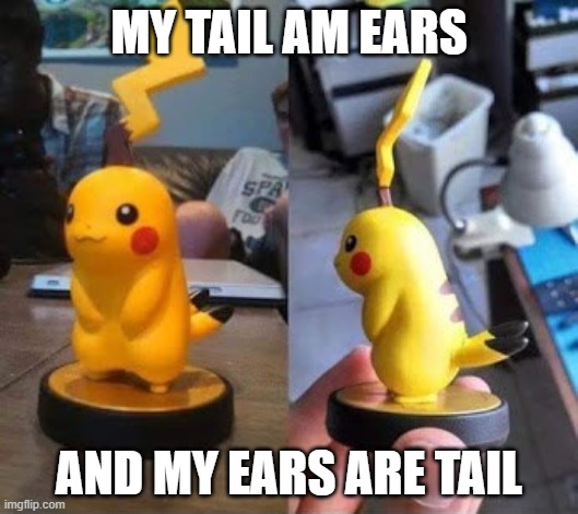 MY TAIL AM EARS; AND MY EARS ARE TAIL | made w/ Imgflip meme maker