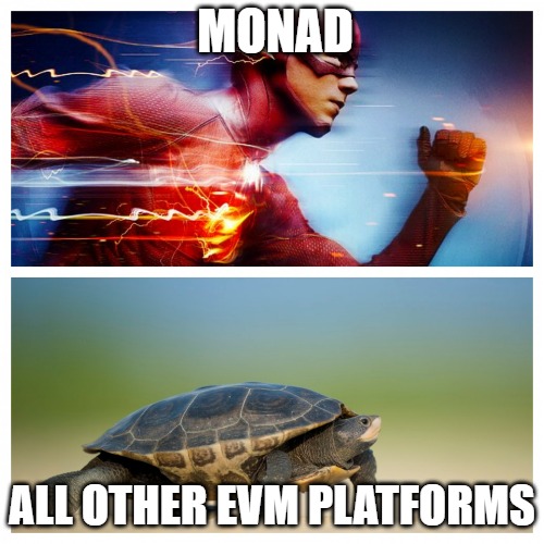 evms | MONAD; ALL OTHER EVM PLATFORMS | image tagged in fast vs slow | made w/ Imgflip meme maker